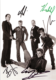 die toten hosen