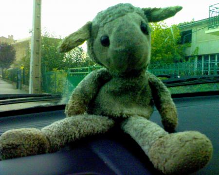 nounours