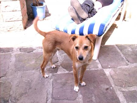 jean-luc