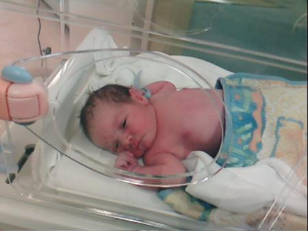 nolann
